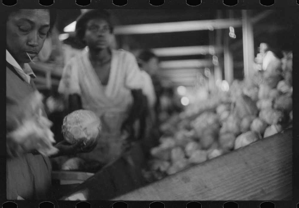 [Untitled photo, possibly related to: Migratory agricultural workers grading cabbages at the Webster Canning Company…