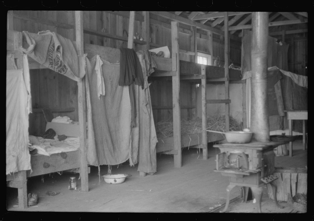 Living quarters for migratory agricultural workers during strawberry season at Picket's Landing, Virginia. Sourced from the…
