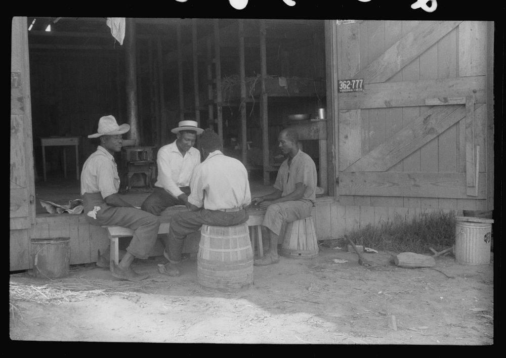 [Untitled photo, possibly related to: Migratory agricultural workers at Picket's Landing, Virginia. Card games are frequent…