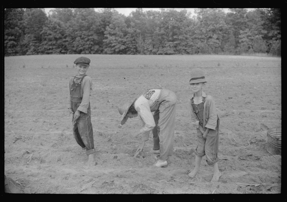 [Untitled photo, possibly related to: Little boy with tobacco plants during the planting season near Chapel Hill, North…