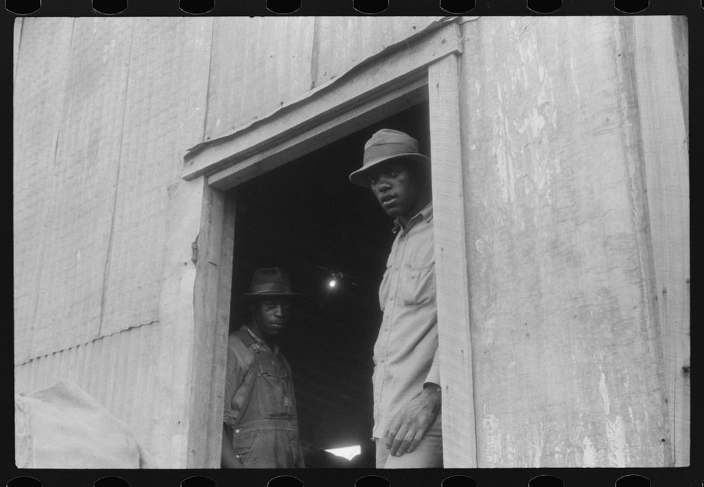 [Untitled photo, possibly related to: Migratory agricultural workers at a grading station at Belcross, North Carolina].…