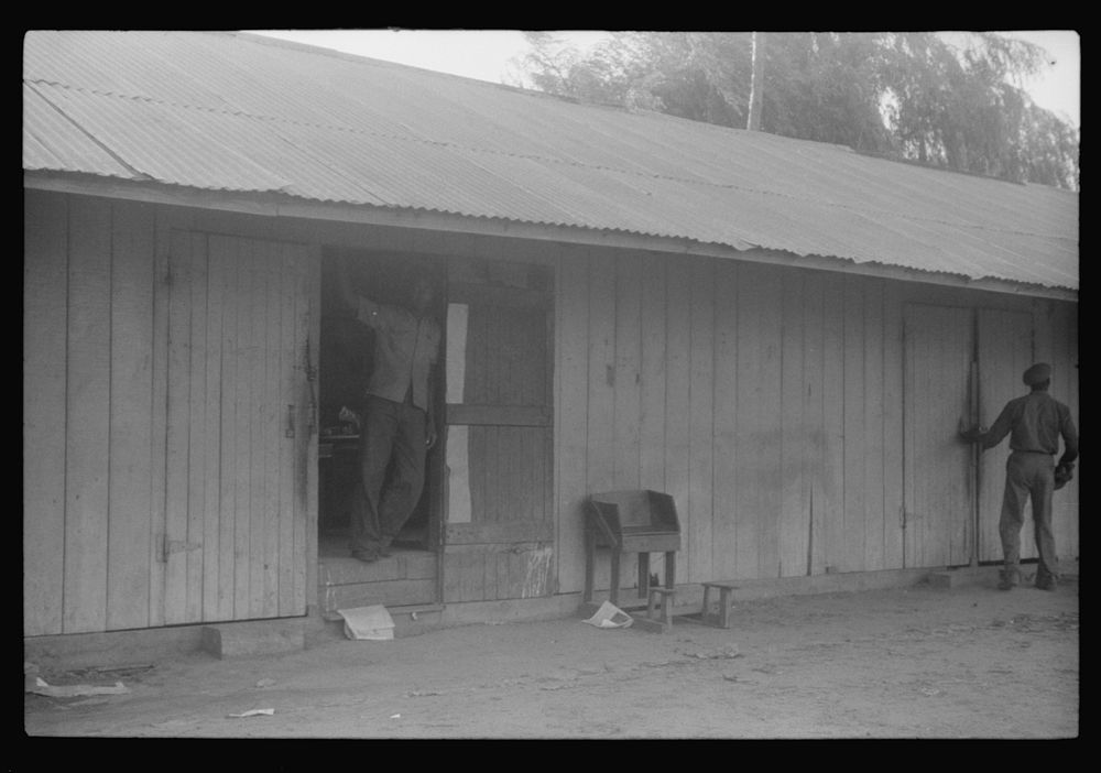 Living quarters for migratory agricultural workers at Webster Canning Company, Cheriton, Virginia. Sourced from the Library…
