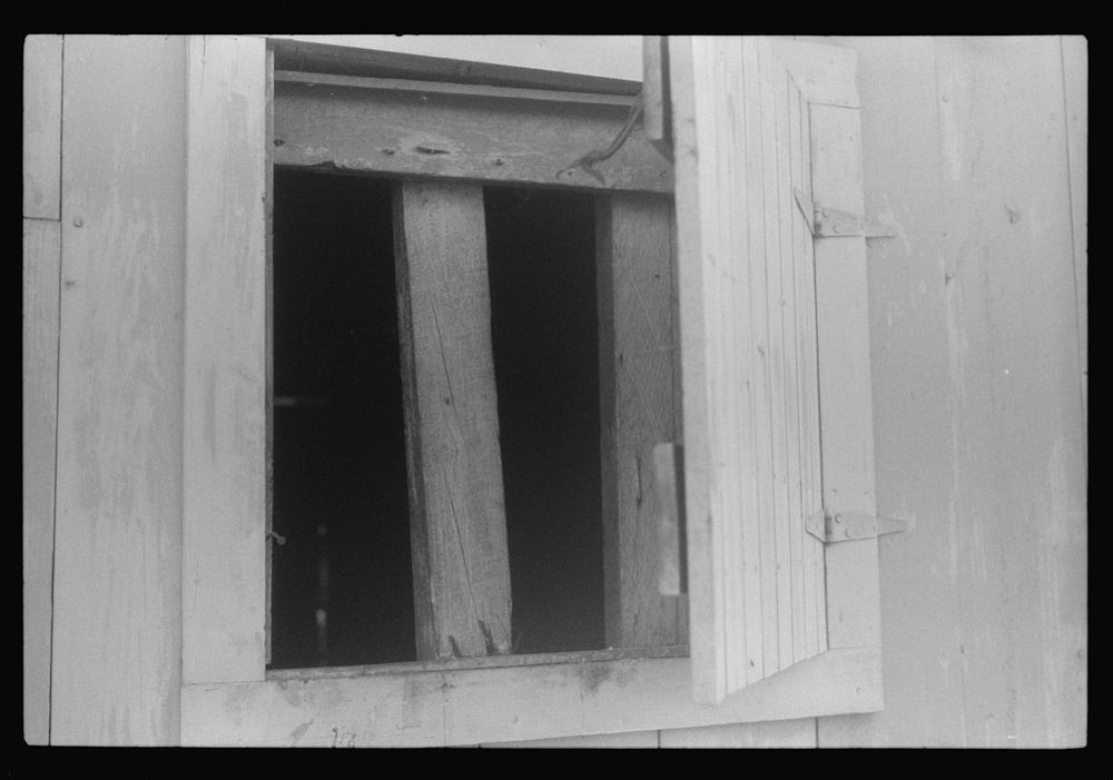 Window for ventilation at barracks for migratory workers at Webster Canning Company, Cheriton, Virginia. Sourced from the…