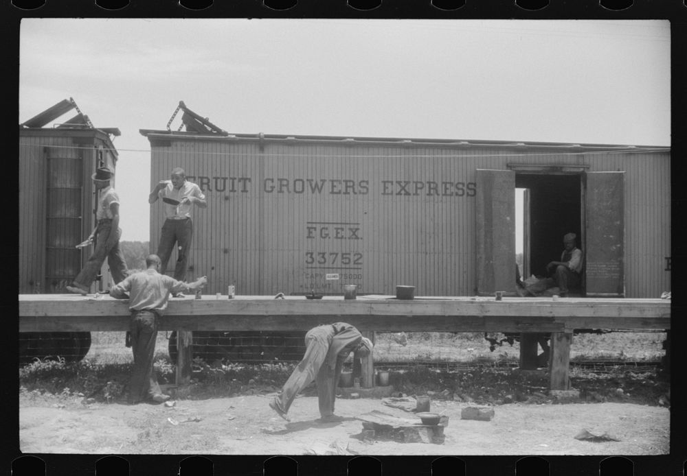 Lunch hour at the grading station at Camden, North Carolina. Sourced from the Library of Congress.