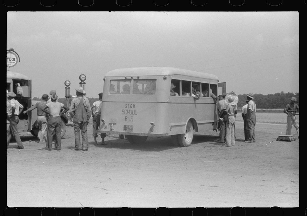[Untitled photo, possibly related to: Migratory bean pickers being loaded into school buses for transportation to the bean…