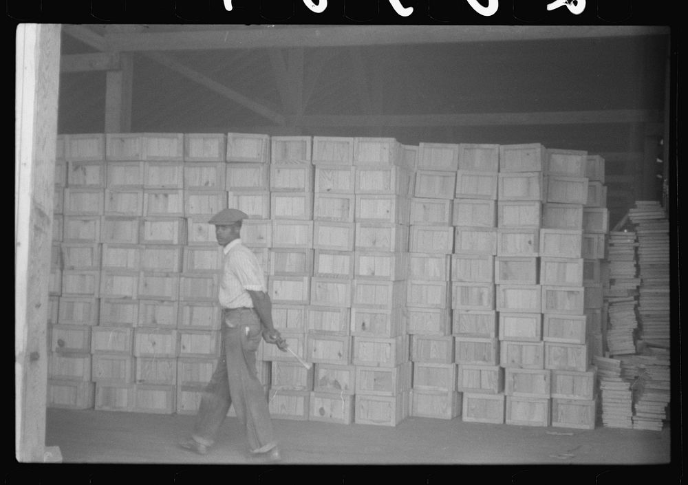 Inside the Webster Canning Company, Cheriton, Virginia. The boxes are made here for packing canned goods. Sourced from the…