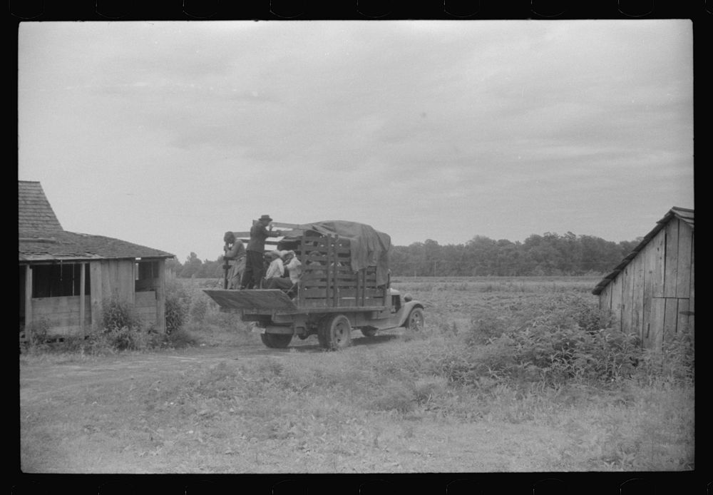 Truckload of migratory agricultural workers leaving Belcross, North Carolina for another job in Onley, Virginia. Sourced…