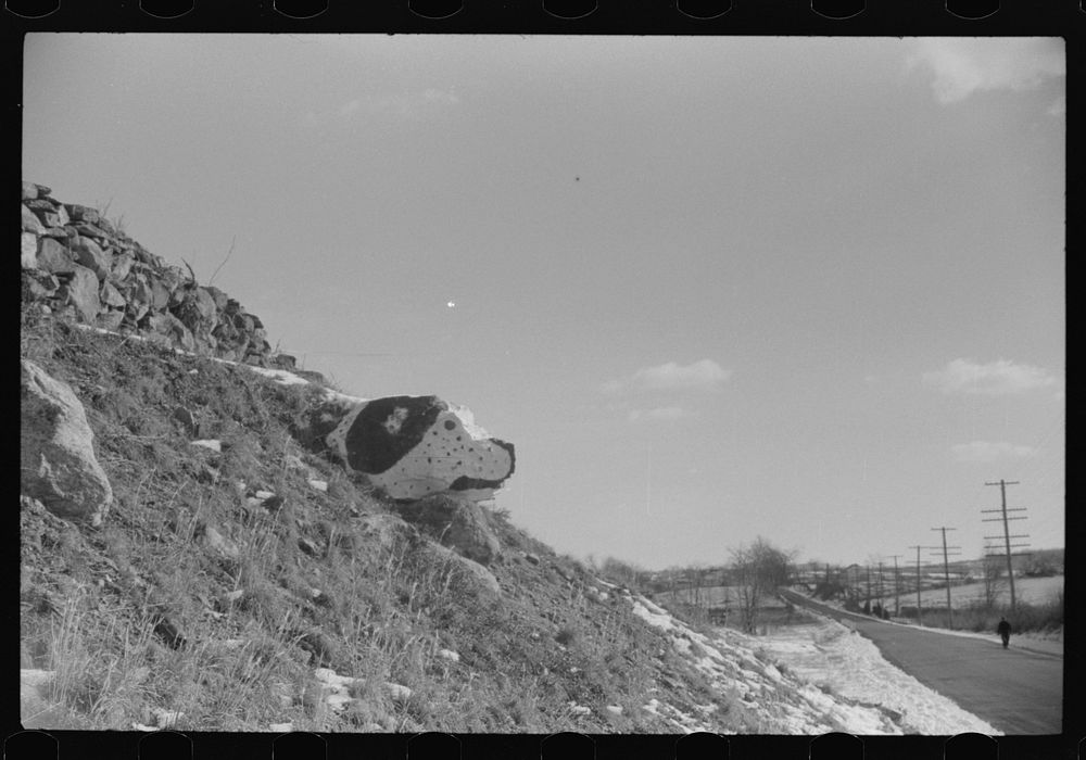 Stone along the highway, Route 165, near Voluntown, Connecticut painted to look like a dog. Sourced from the Library of…