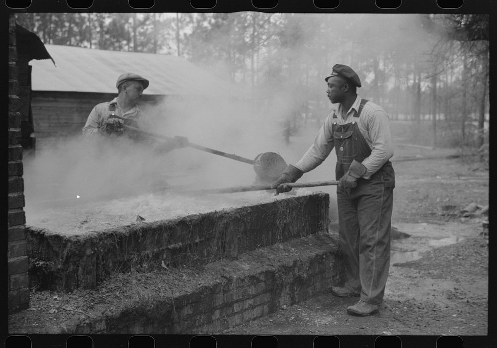Cleaning turpentine cups in boiling water at a still near Pembroke, Georgia. Sourced from the Library of Congress.
