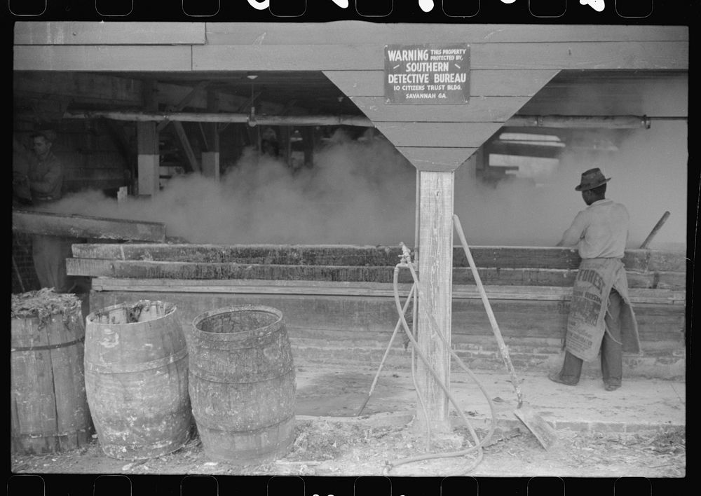 Filtering hot rosin through sieves at a turpentine works in Statesboro, Georgia. Sourced from the Library of Congress.