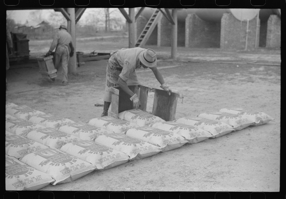 [Untitled photo, possibly related to: Laying out bags of hot rosin to harden at a turpentine works in Statesboro, Georgia].…