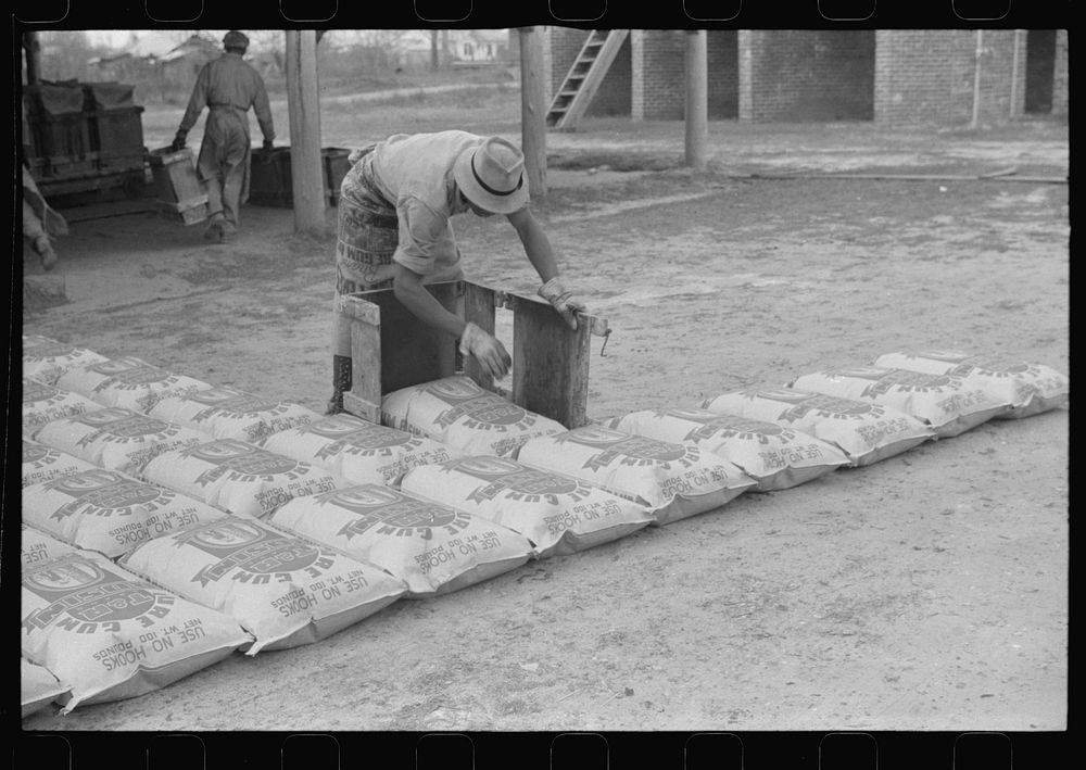 Laying out bags of hot rosin to harden at a turpentine works in Statesboro, Georgia. Sourced from the Library of Congress.