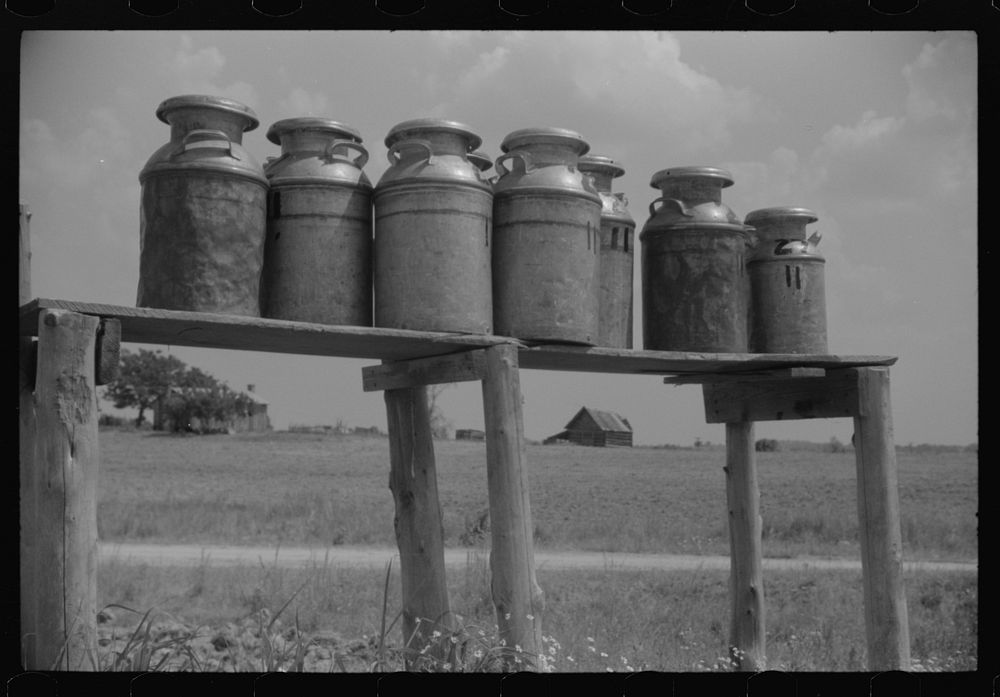 Milk cans along the road near Greensboro, Alabama. Sourced from the Library of Congress.