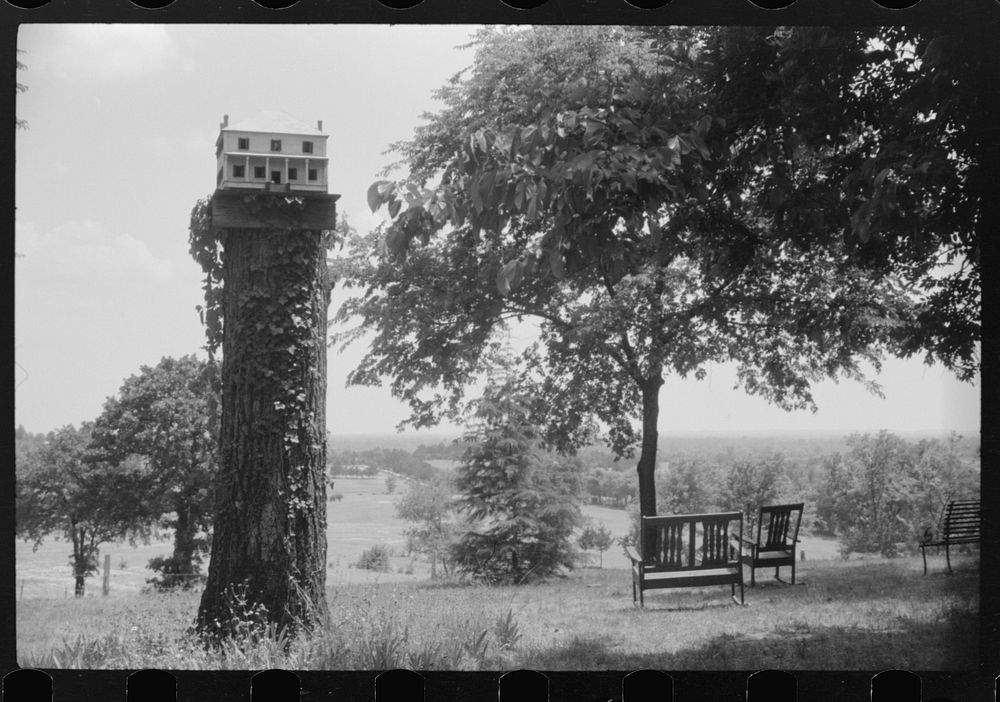 Birdhouse and landscape at an old plantation home near Eutaw, Alabama. Sourced from the Library of Congress.