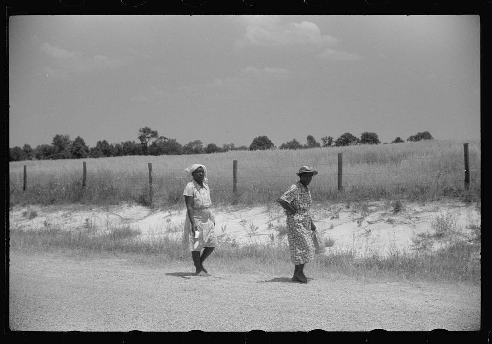 [Untitled photo, possibly related to: On a road near Eutaw, Alabama]. Sourced from the Library of Congress.