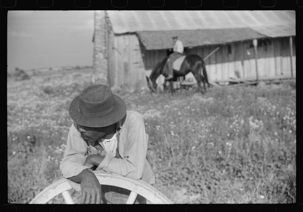 [Untitled photo, possibly related to: Along a road near Greensboro, Alabama]. Sourced from the Library of Congress.