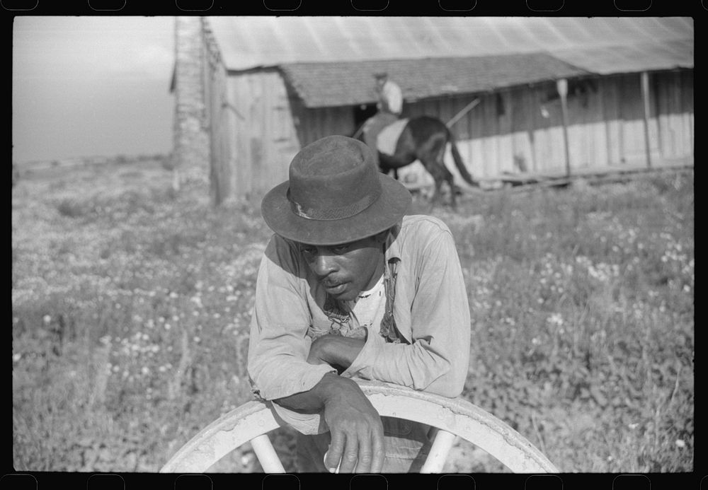 [Untitled photo, possibly related to: Along a road near Greensboro, Alabama]. Sourced from the Library of Congress.
