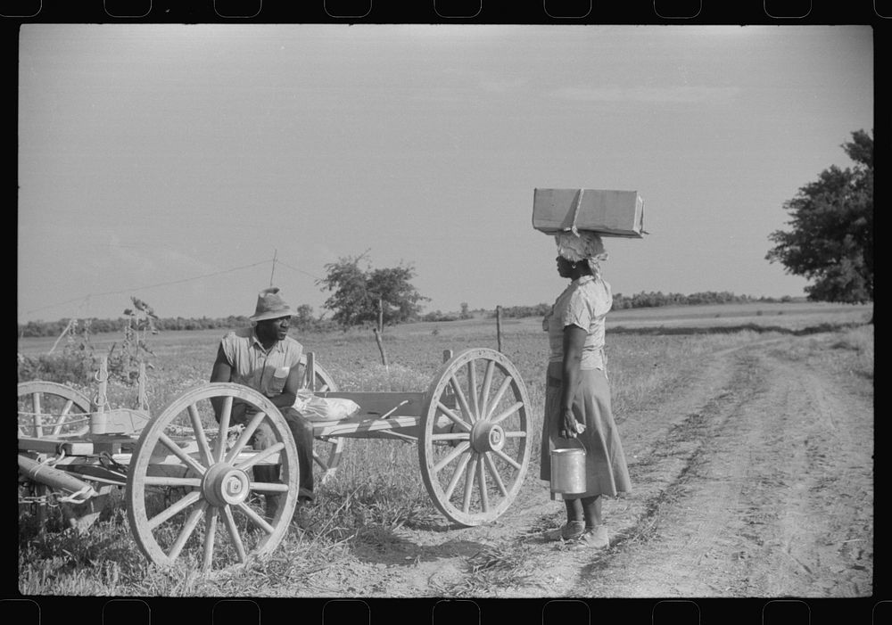 Along a road near Greensboro, Alabama. Sourced from the Library of Congress.