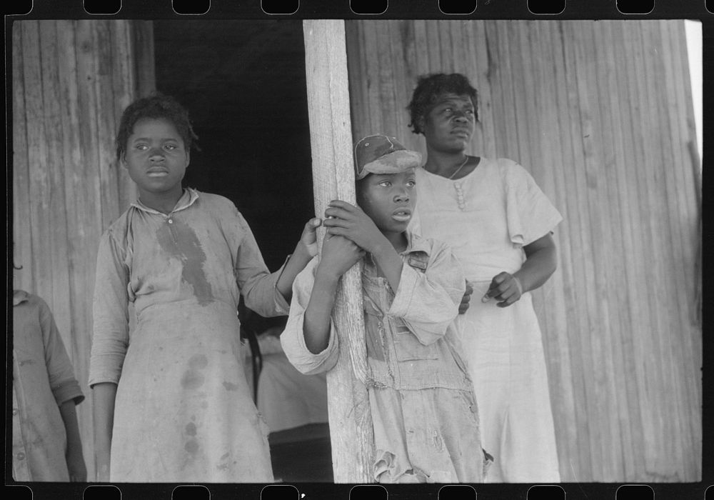 Part of a  tenant family, on a farm near Greensboro, Alabama. Sourced from the Library of Congress.