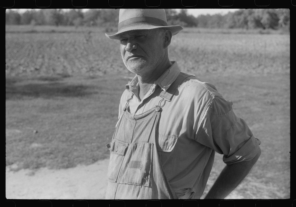 [Untitled photo, possibly related to: The sons of Mr. E.A. Marcus, FSA (Farm Security Administration) borrower in Woodville…