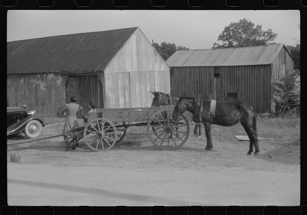 [Untitled photo, possibly related to: Saturday afternoon in Union Point, Greene County, Georgia]. Sourced from the Library…