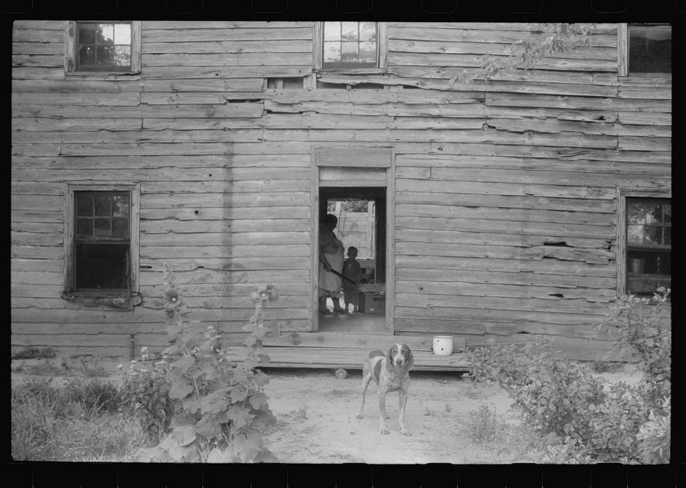 [Untitled photo, possibly related to: The family of Russell Tombs moving out of their home which is in the area being taken…