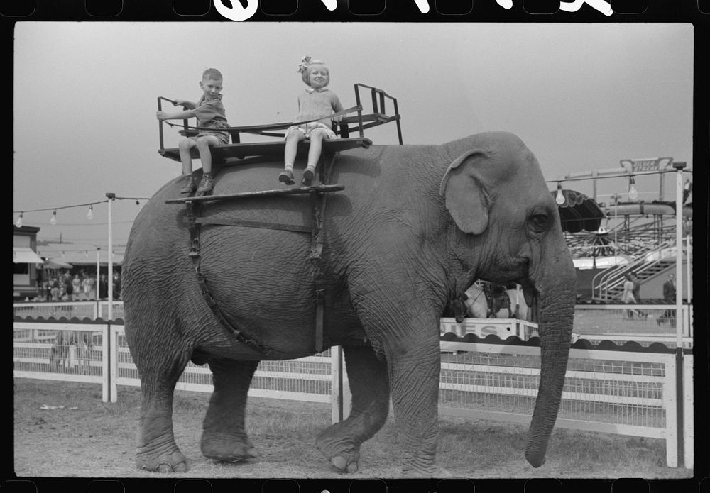 A ride on the elephant at the Champlain Valley Exposition, Essex Junction, Vermont. Sourced from the Library of Congress.
