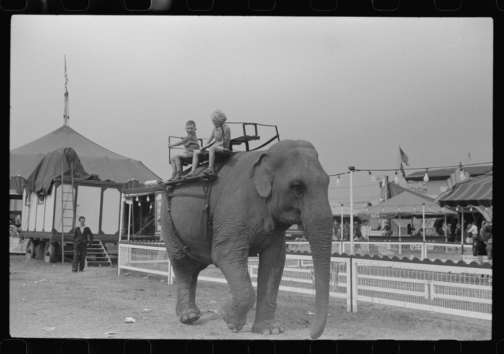 [Untitled photo, possibly related to: A ride on the elephant at the Champlain Valley Exposition, Essex Junction, Vermont].…