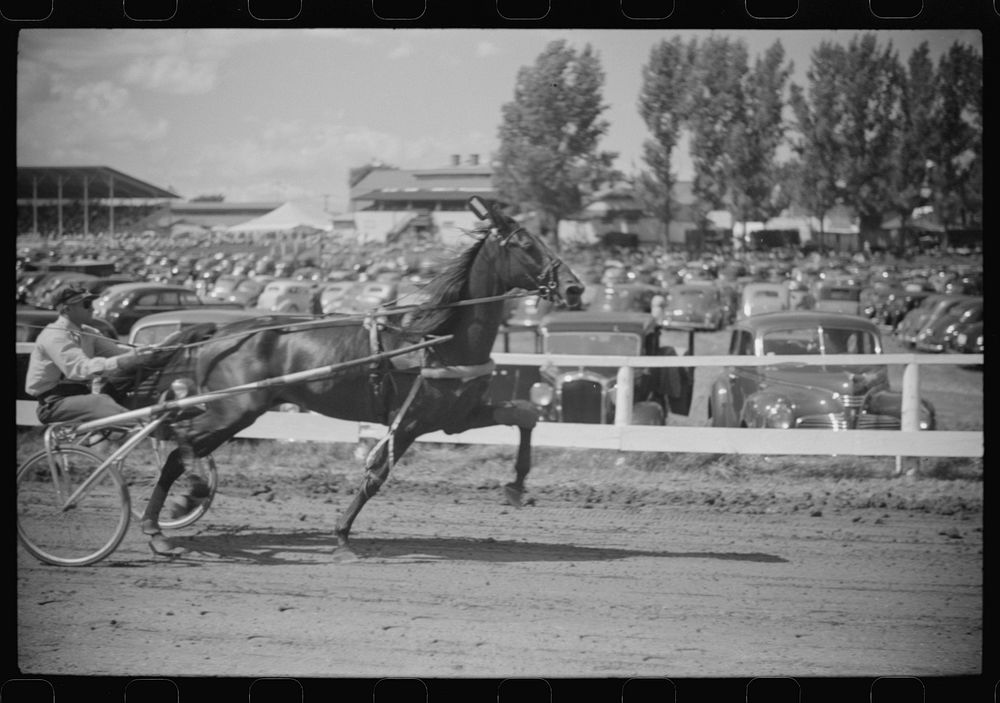 Sulky racing at the Rutland Fair, Rutland, Vermont. Sourced from the Library of Congress.