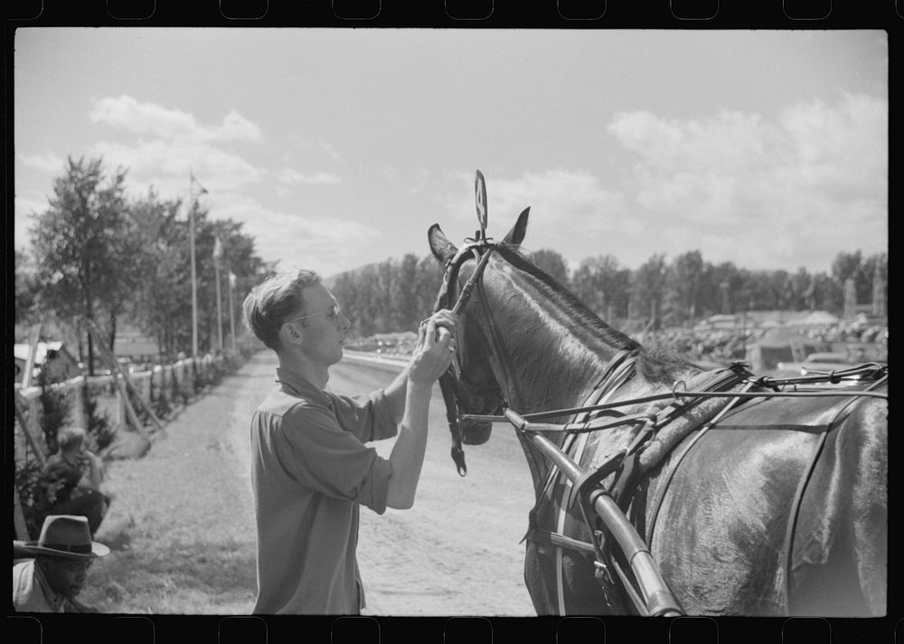[Untitled photo, possibly related to: Sulky racing at the Rutland Fair, Rutland, Vermont]. Sourced from the Library of…
