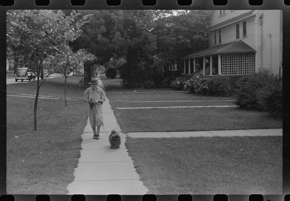 Old woman and Pekingese walking along a street in Saint Albans, Vermont. Sourced from the Library of Congress.
