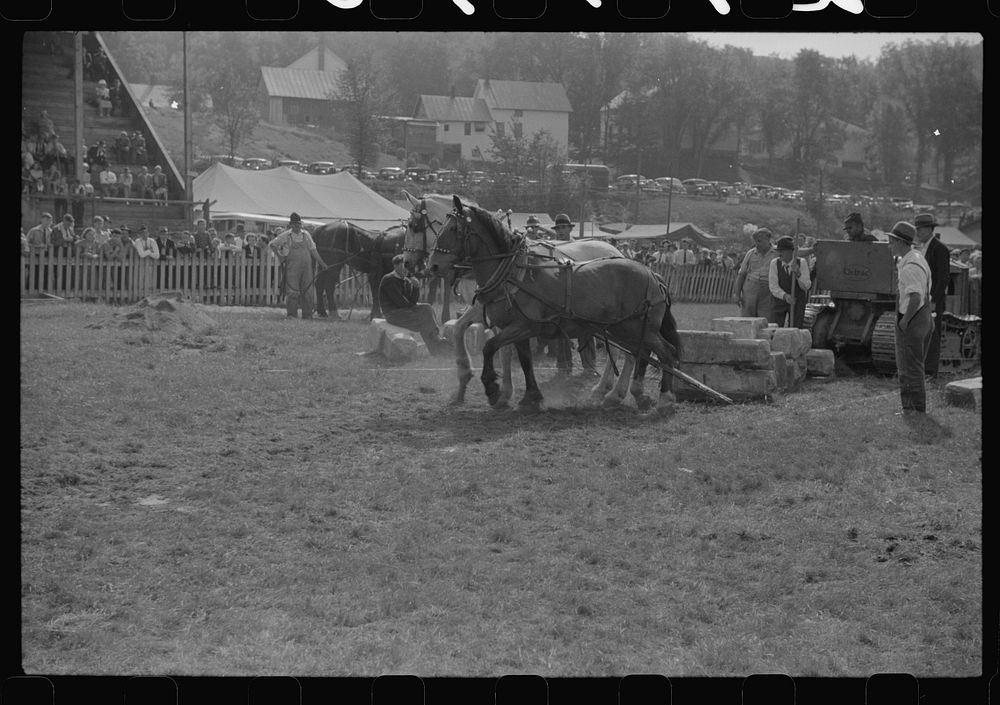 [Untitled photo, possibly related to: Tunbridge, Vermont. Weight-pulling contest for horses at the "World's Fair"]. Sourced…