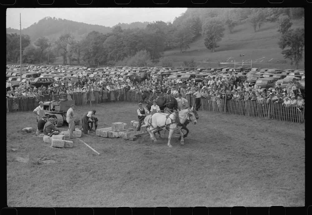 Tunbridge, Vermont. Weight-pulling contest for horses at the "World's Fair". Sourced from the Library of Congress.