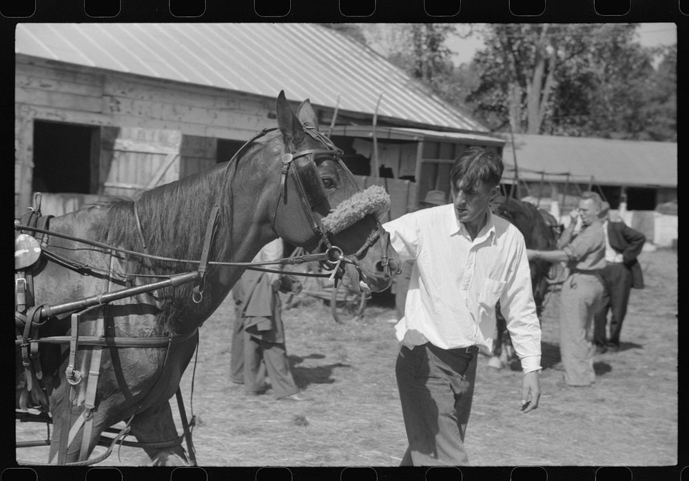 At the stables by the sulky racetrack at the "World's Fair" in Tunbridge, Vermont. Sourced from the Library of Congress.