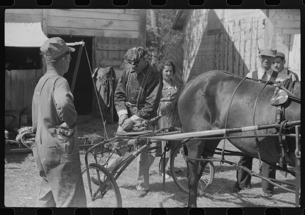 [Untitled photo, possibly related to: At the stables by the sulky racetrack at the "World's Fair" in Tunbridge, Vermont].…