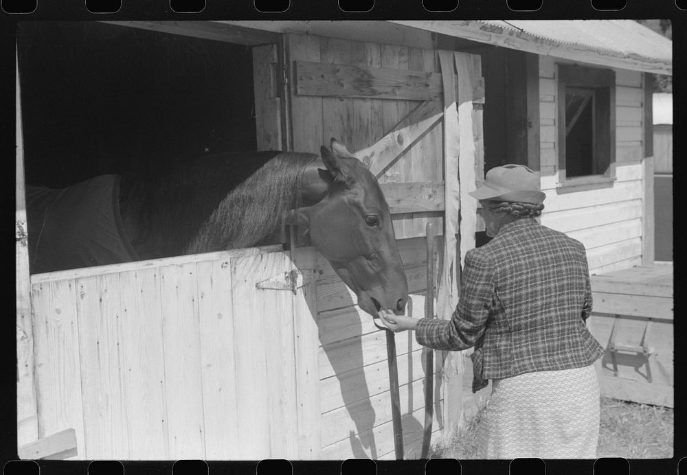 At the stables by the sulky racetrack at the "World's Fair" in Tunbridge, Vermont. Sourced from the Library of Congress.
