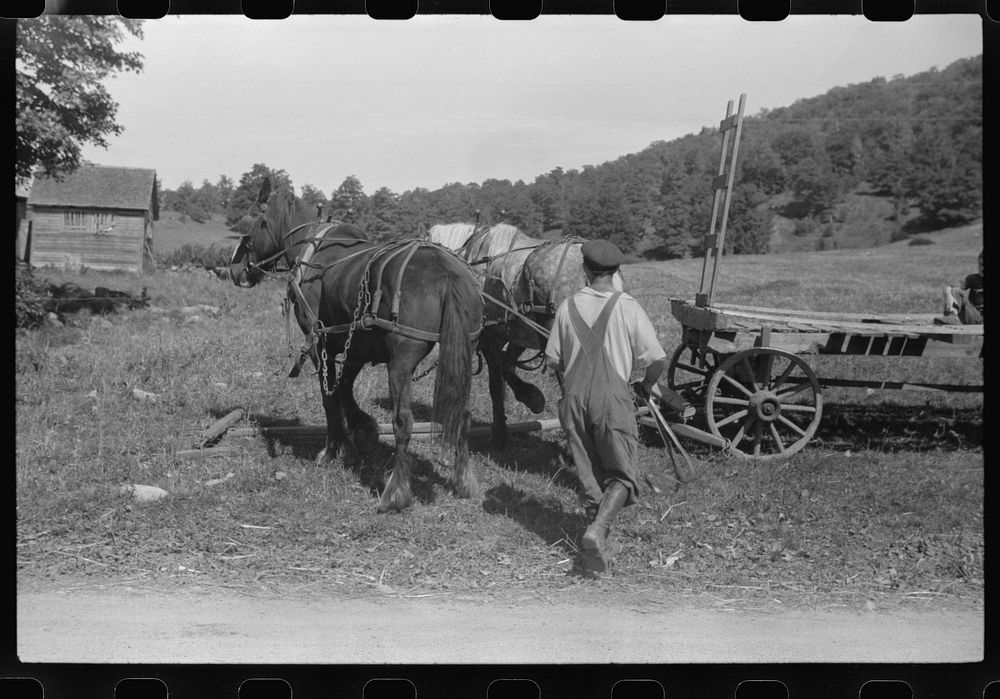 [Untitled photo, possibly related to: Mr. William Gaynor watering the horses on his farm near Fairfield, Vermont]. Sourced…