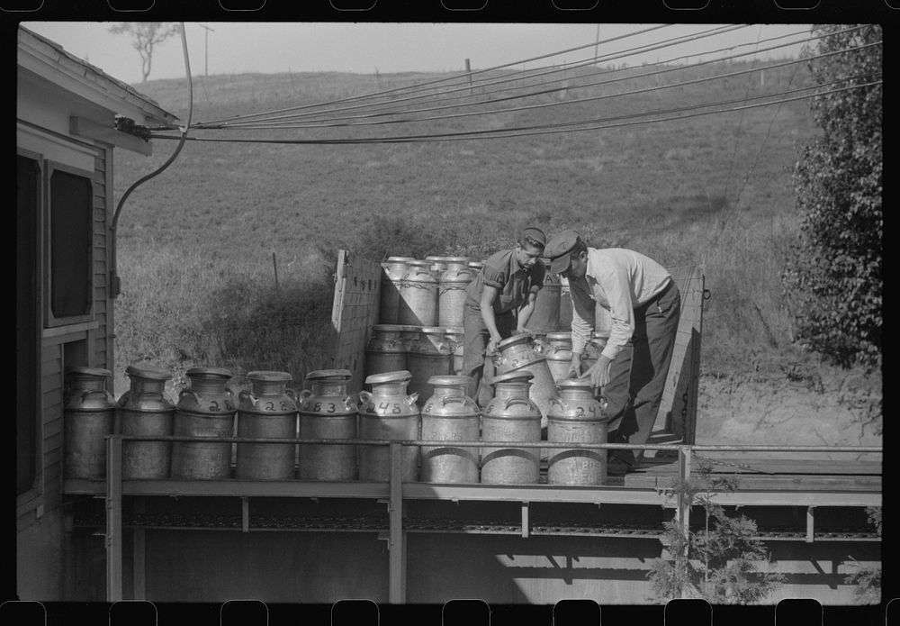 [Untitled photo, possibly related to Free Photo rawpixel