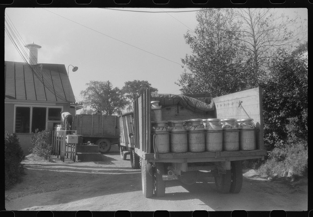 [Untitled photo, possibly related to: Opening milk cans at the United Farmers Coop Creamery in East Berkshire, Vermont].…