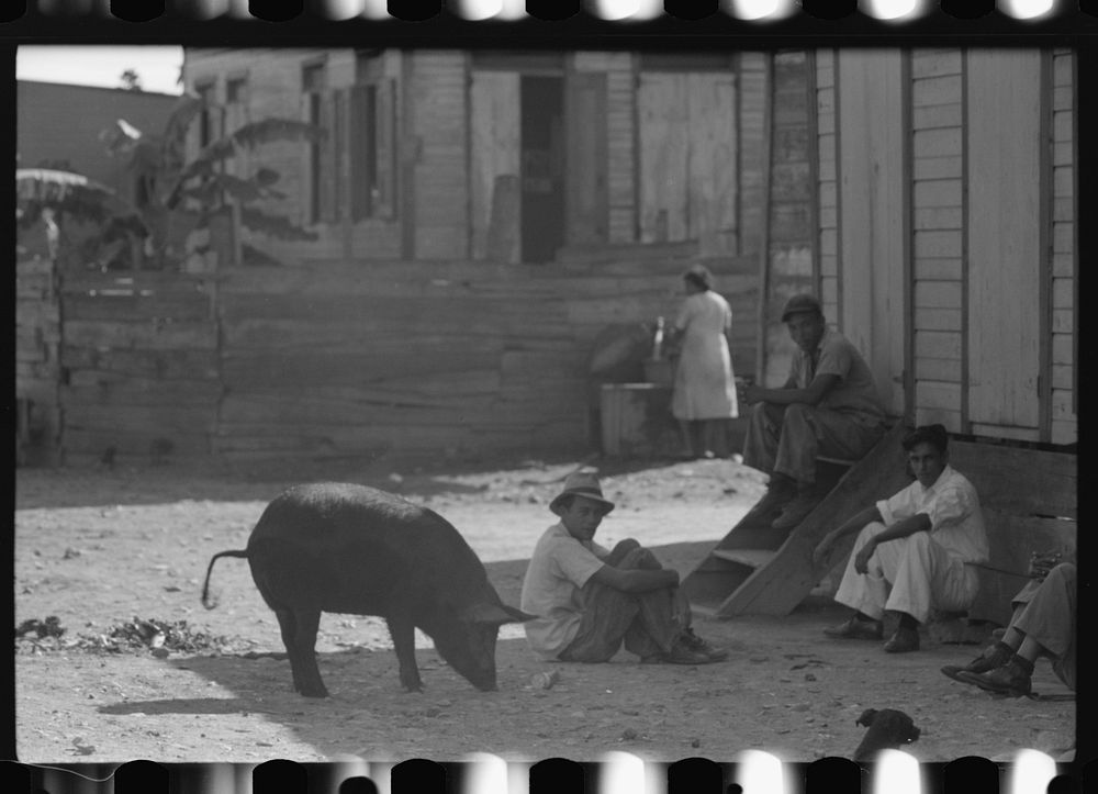 [Untitled photo, possibly related to: In the slum area known as "El Machuelitto" in Ponce, Puerto Rico]. Sourced from the…