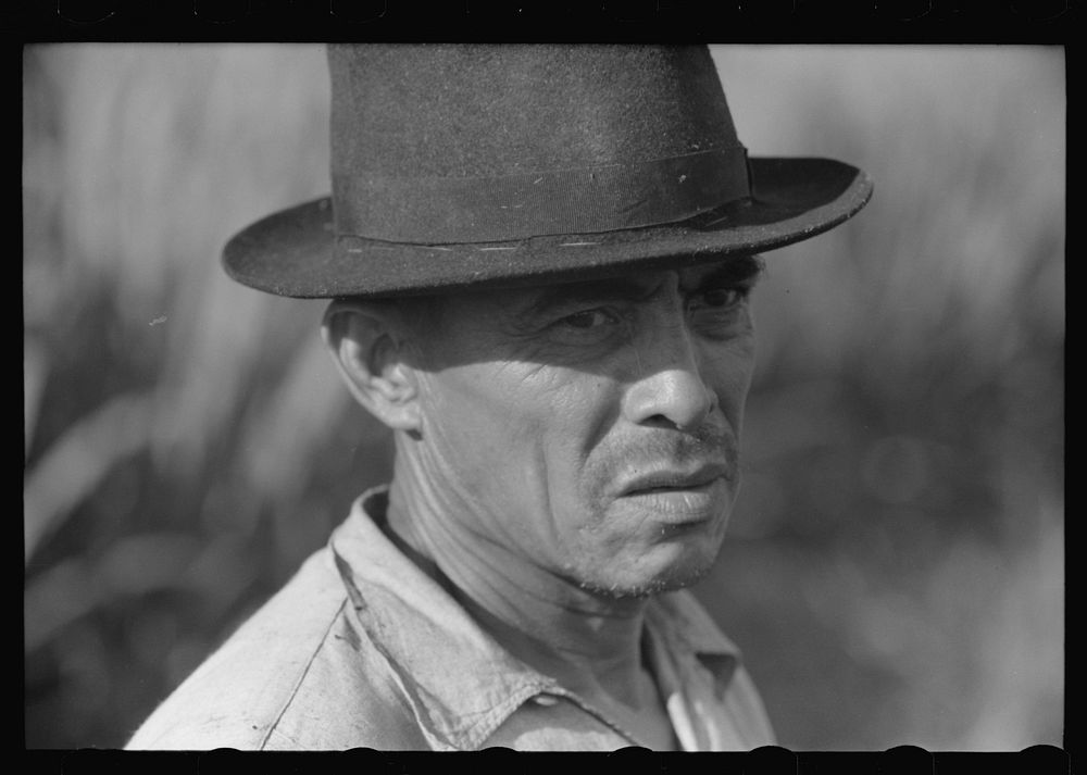 [Untitled photo, possibly related to: FSA (Farm Security Administration) tenant purchase borrower near Barranquitas, Puerto…