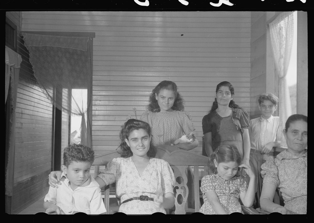 [Untitled photo, possibly related to: Family of a tenant purchase FSA (Farm Security Administration) borrower near…