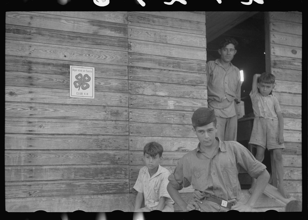 At the home of a FSA (Farm Security Administration) borrower in Manati, Puerto Rico. Two of the boys are 4-H club members.…