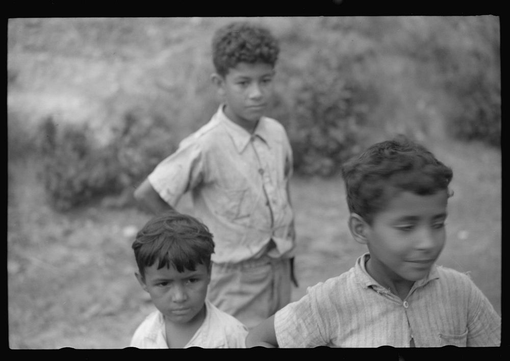 [Untitled photo, possibly related to: Children coming home from school on a road near Manati, Puerto Rico]. Sourced from the…