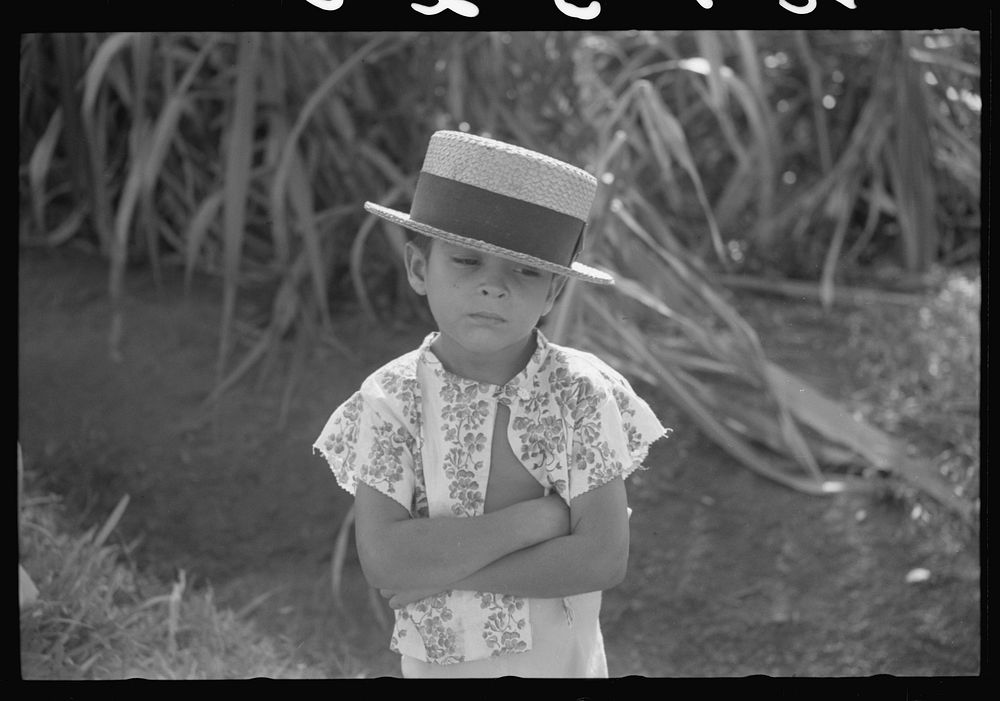 [Untitled photo, possibly related to: Farm boy along the road near Corozal, Puerto Rico]. Sourced from the Library of…