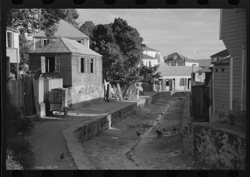 [Untitled photo, possibly related to: Charlotte Amalie, St. Thomas Island, Virgin Islands. One of the open sewers]. Sourced…