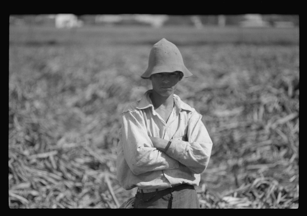 [Untitled photo, possibly related to: Farm laborer who works in the sugar fields near Yauco, Puerto Rico]. Sourced from the…