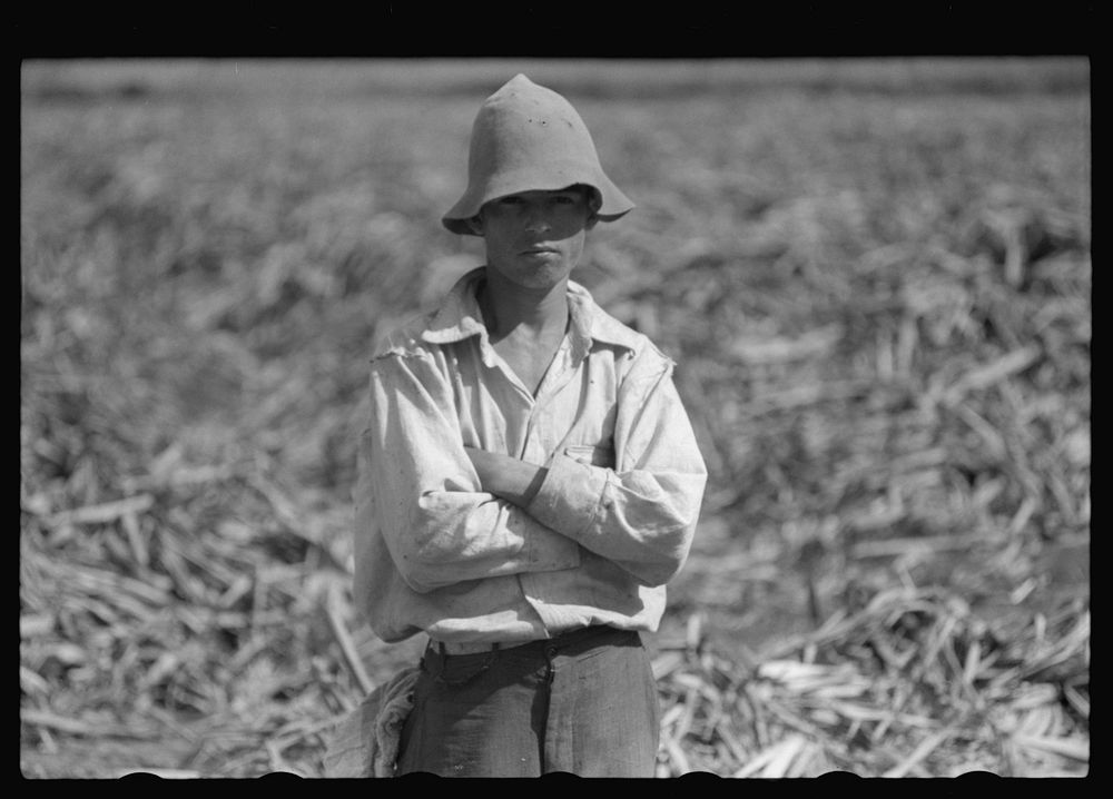Farm laborer who works in the sugar fields near Yauco, Puerto Rico. Sourced from the Library of Congress.