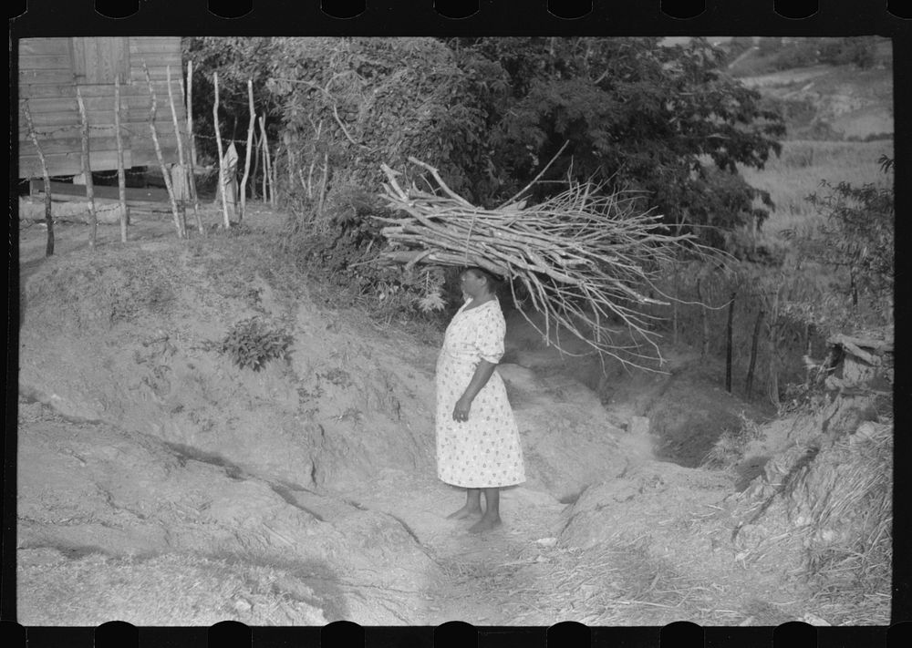 Farmer's wife carrying brushwood to her home in the hills near Yauco, Puerto Rico. Sourced from the Library of Congress.