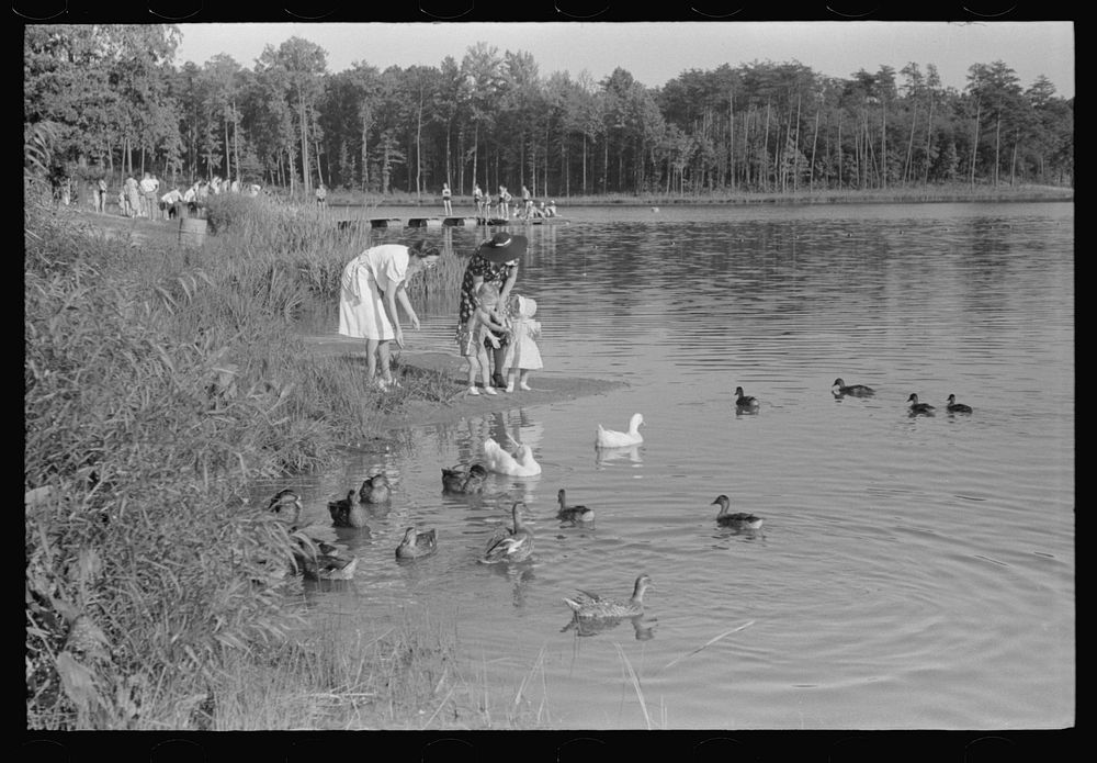The lake at Greenbelt, Maryland. Sourced from the Library of Congress.